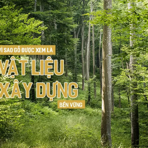 TP-Vi-sao-go-duoc-xem-la-vat-lieu-xay-dung-ben-vung-01